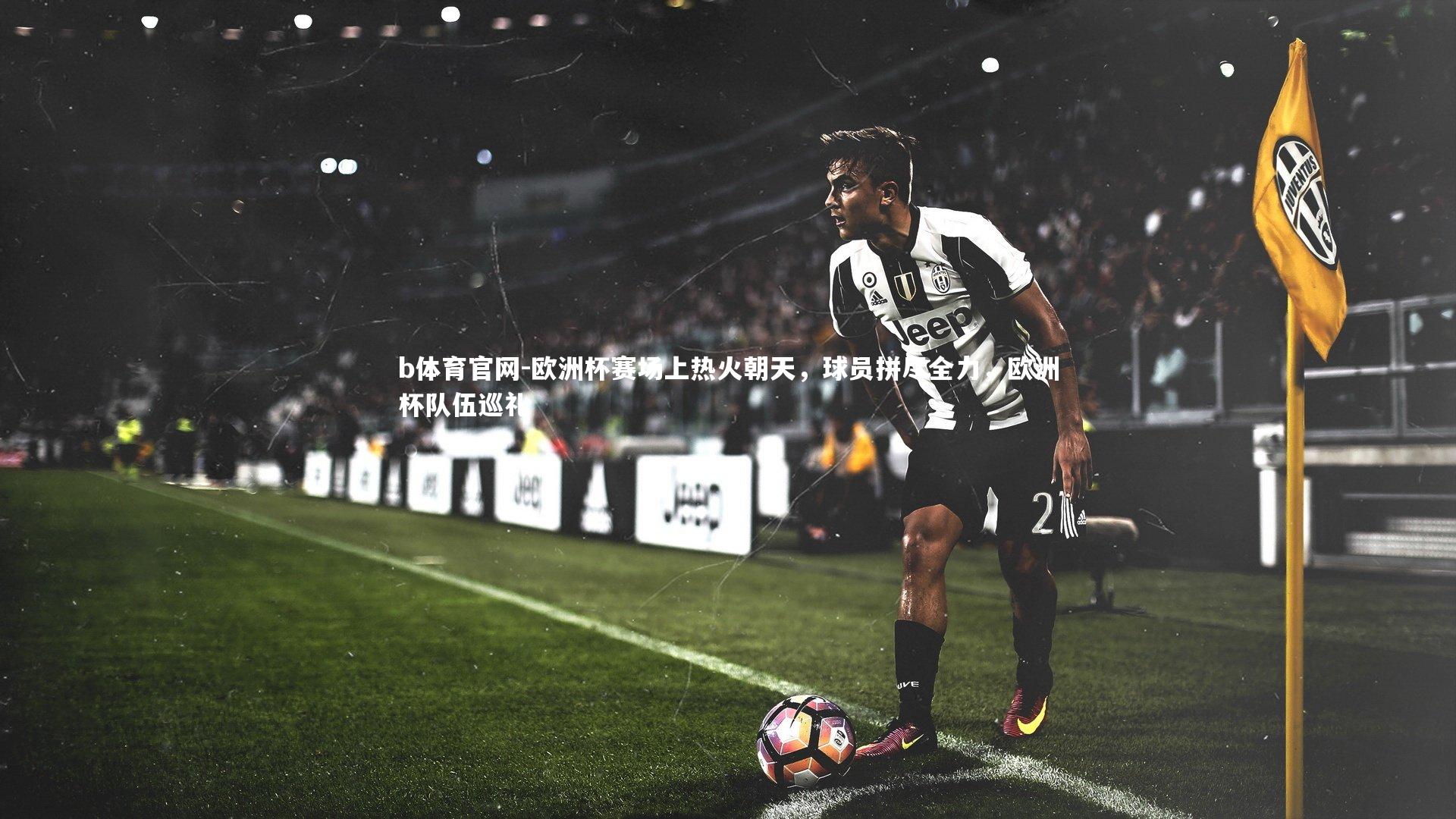 欧洲杯赛场上热火朝天，球员拼尽全力，欧洲杯队伍巡礼