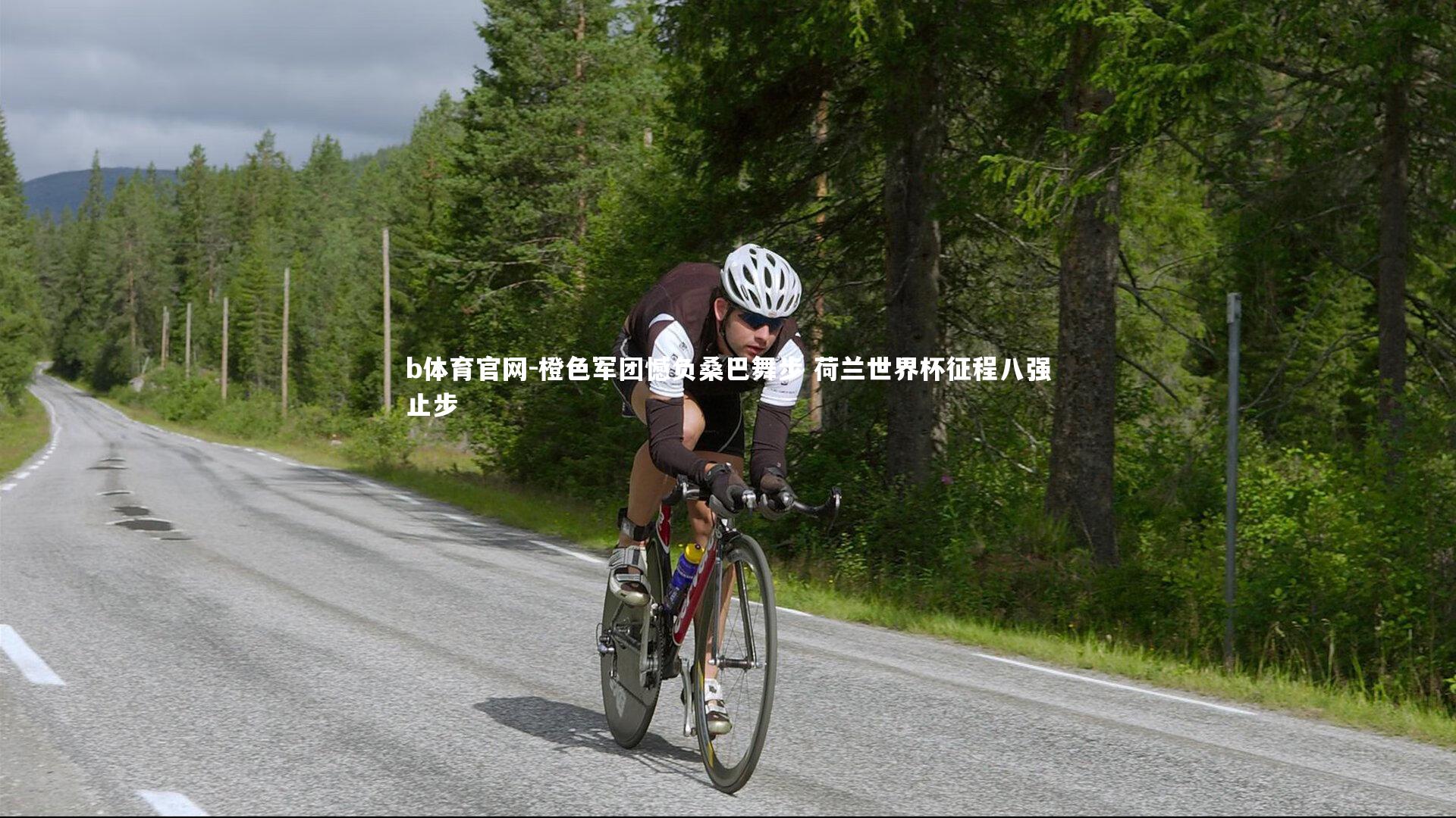 橙色军团憾负桑巴舞步 荷兰世界杯征程八强止步